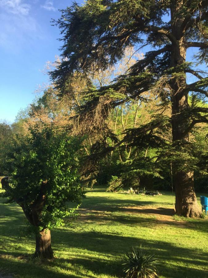 Holiday home Les Cedres