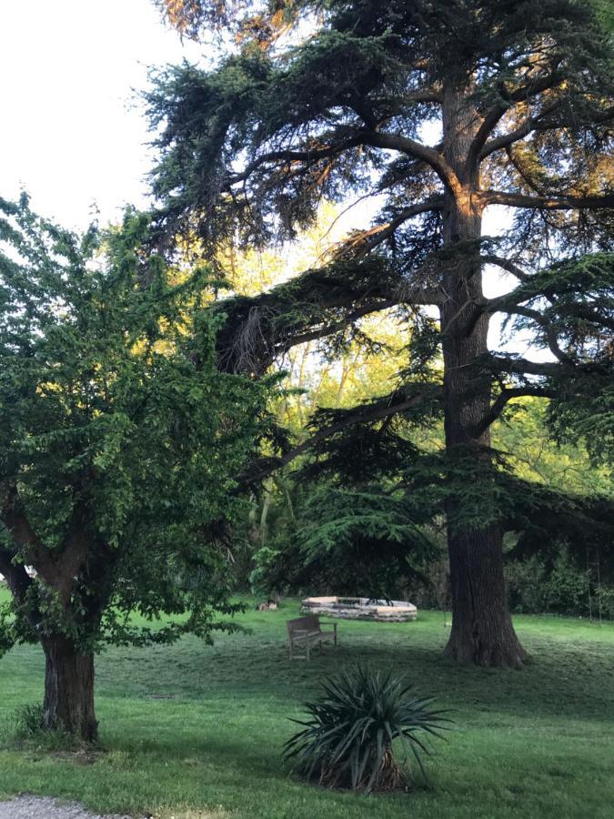 Les Cedres * Chalabre